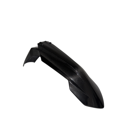 Carbon Kotflügel