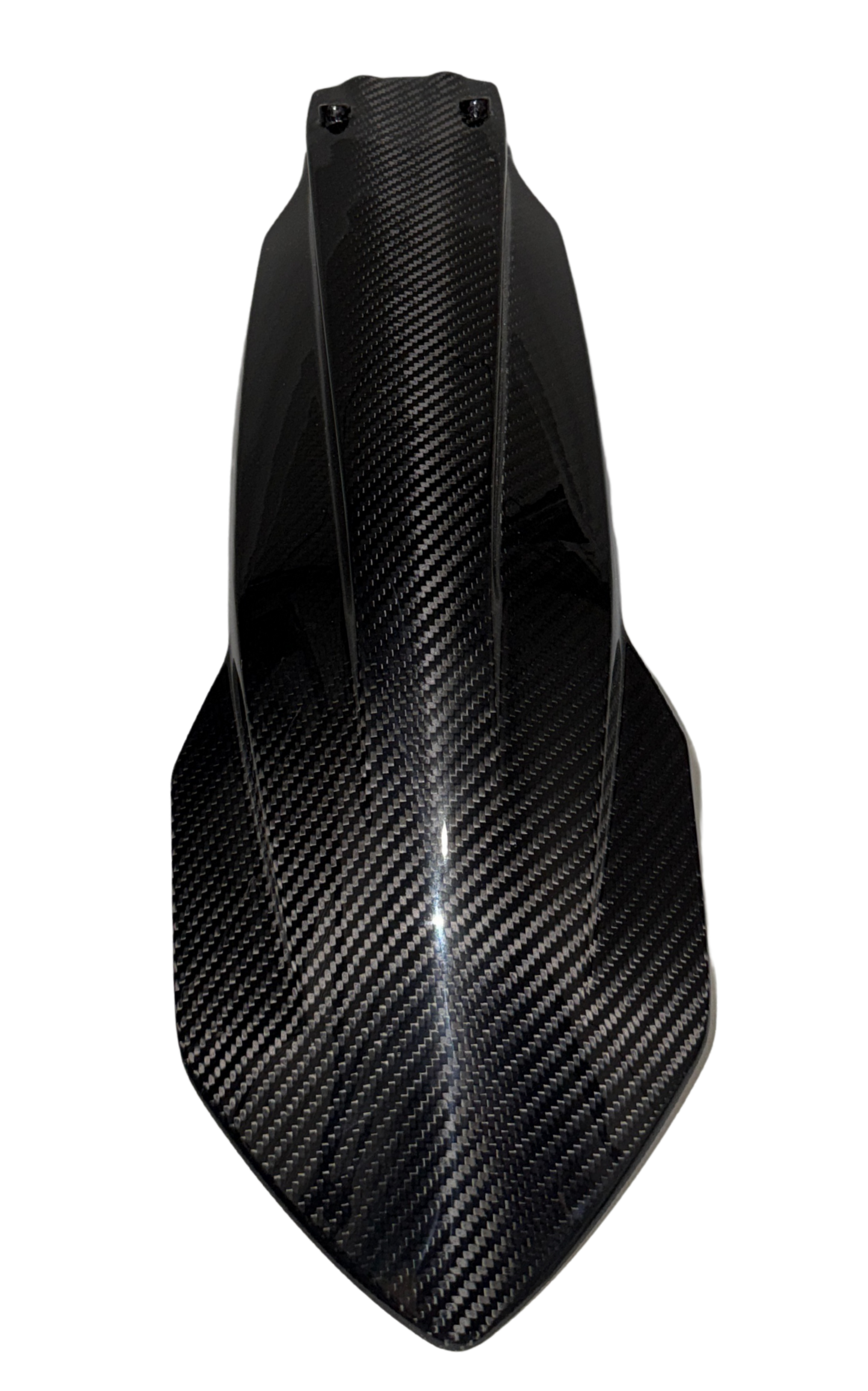 Carbon Kotflügel